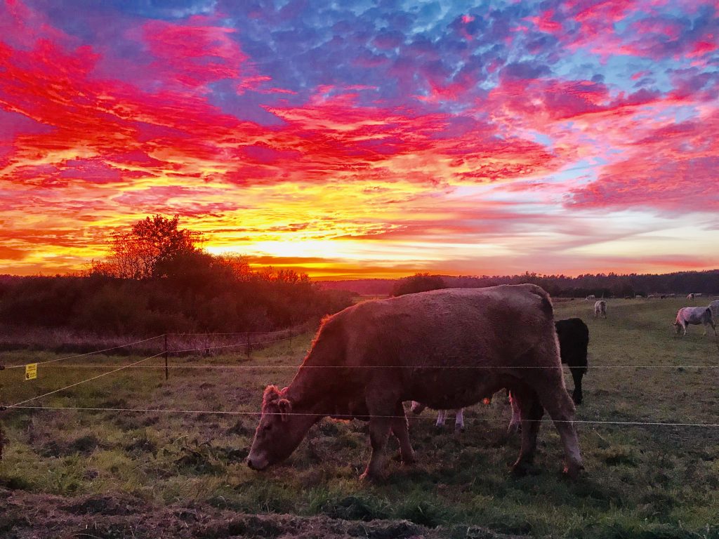 toller Sonnenuntergang