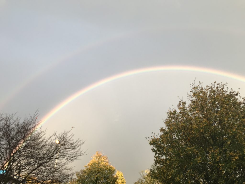 Regenbogen